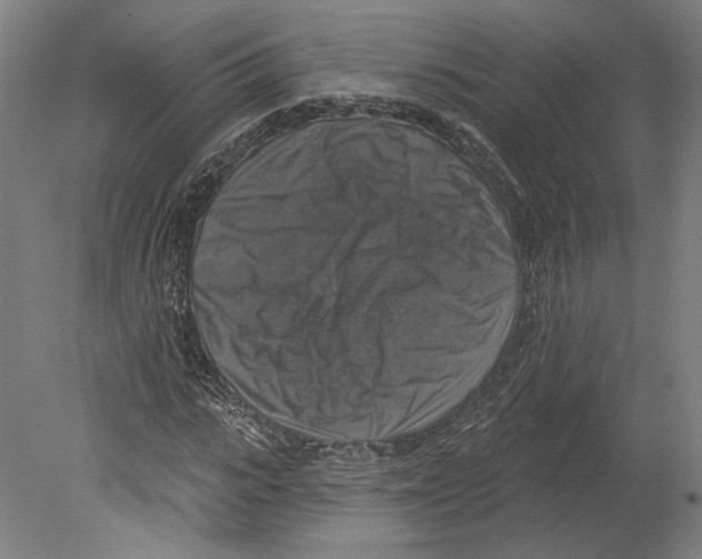 X0000080150919200701051535