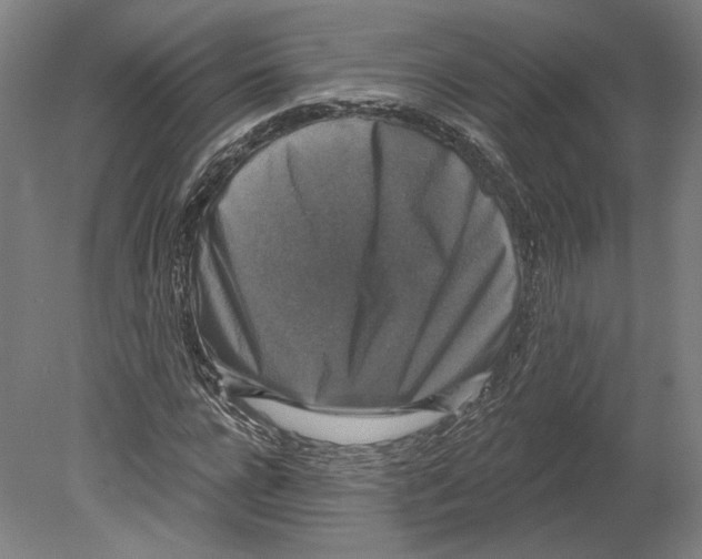 X0000080150920200701051535