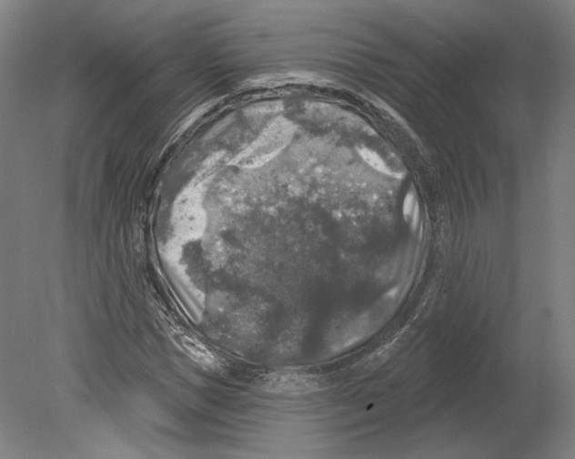 X0000080150921200701051535