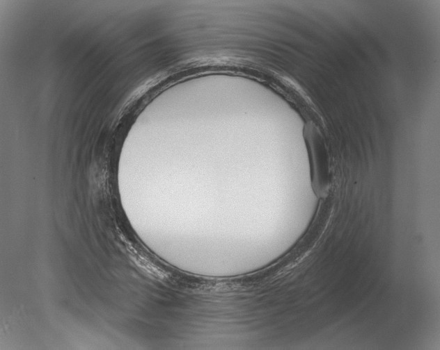 X0000080150922200701051535
