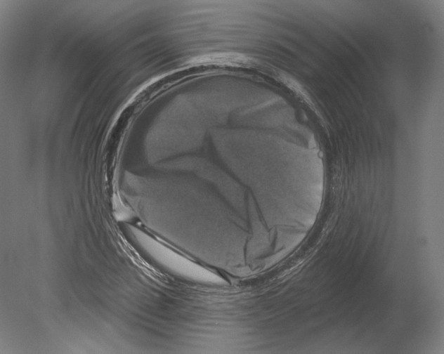X0000080150923200701051535