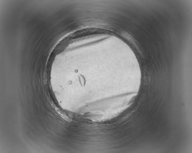 X0000080150924200701051535