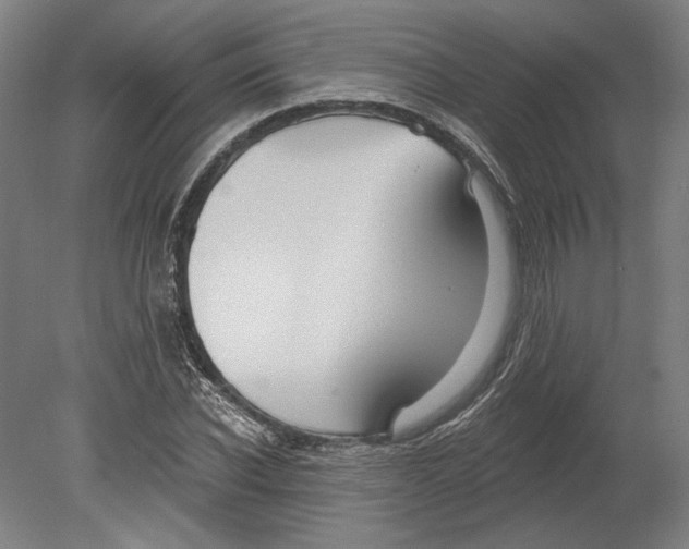 X0000080150926200701051535