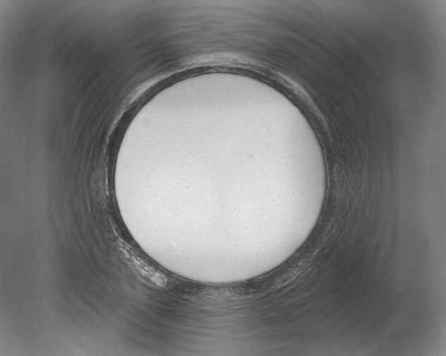 X0000080150931200701051535