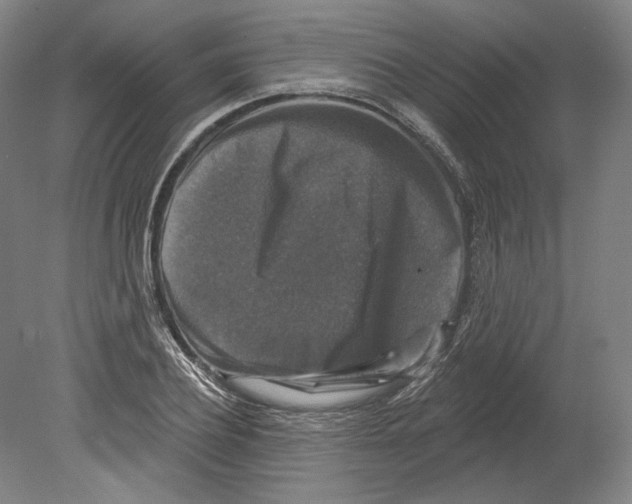 X0000080150932200701051535