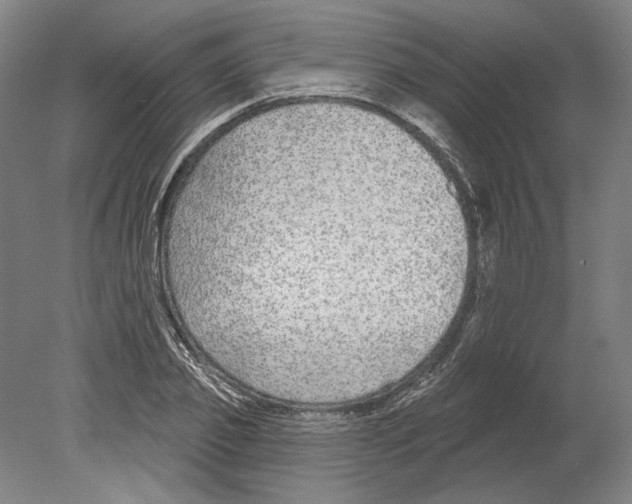 X0000080150933200701051535