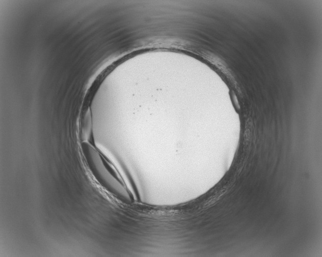 X0000080150936200701051536