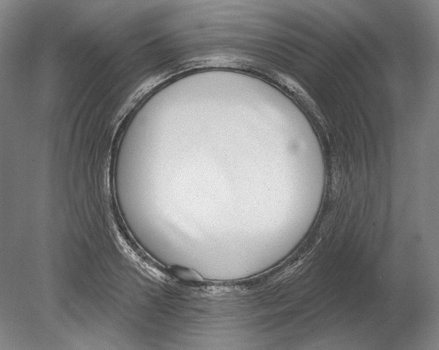 X0000080150938200701051536
