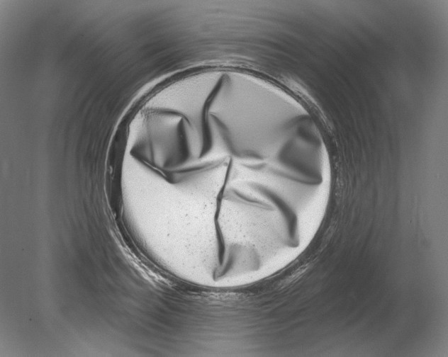 X0000080150940200701051536