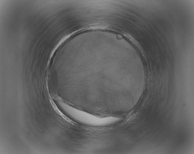 X0000080150941200701051536