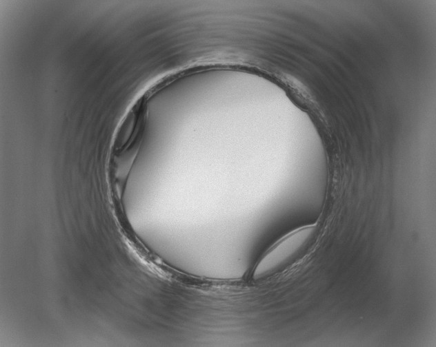 X0000080150942200701051536