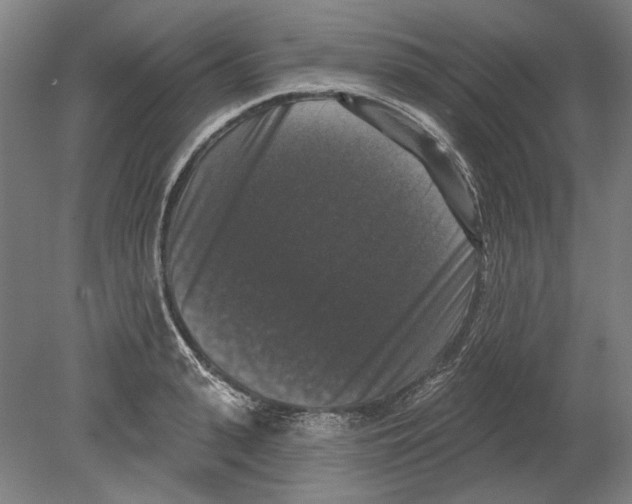 X0000080150943200701051536