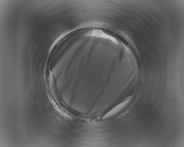 X0000080150944200701051536