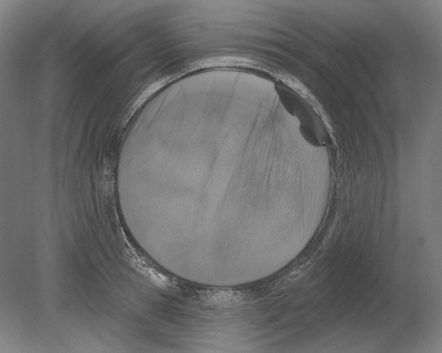 X0000080150945200701051536