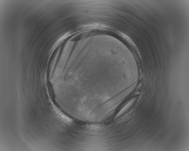 X0000080150946200701051536