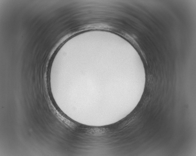 X0000080150947200701051536