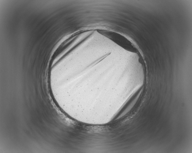 X0000080150949200701051536