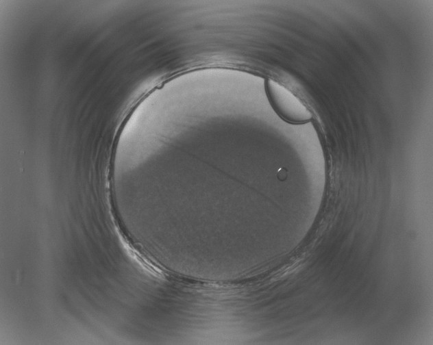 X0000080150954200701051536