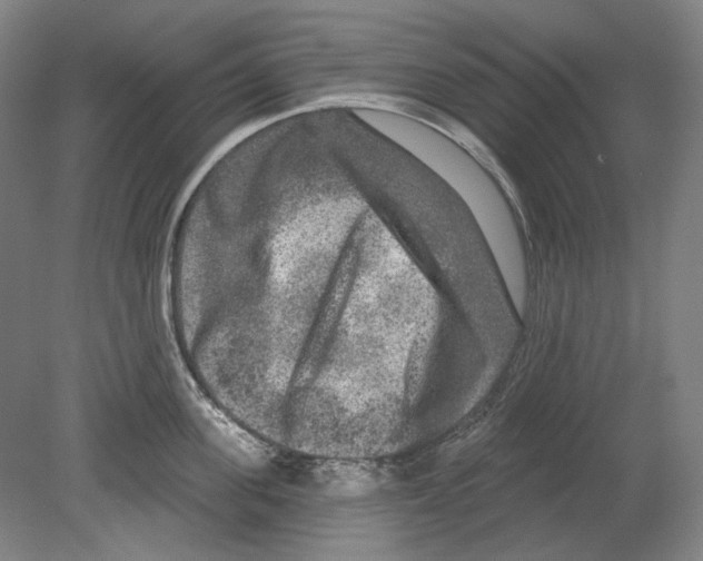 X0000080150955200701051536