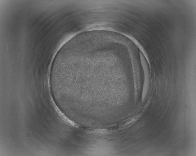 X0000080150957200701051536
