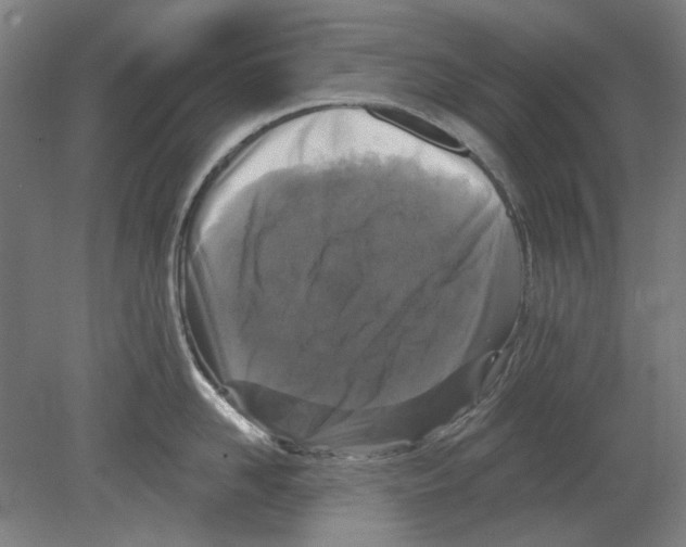 X0000080150958200701051536