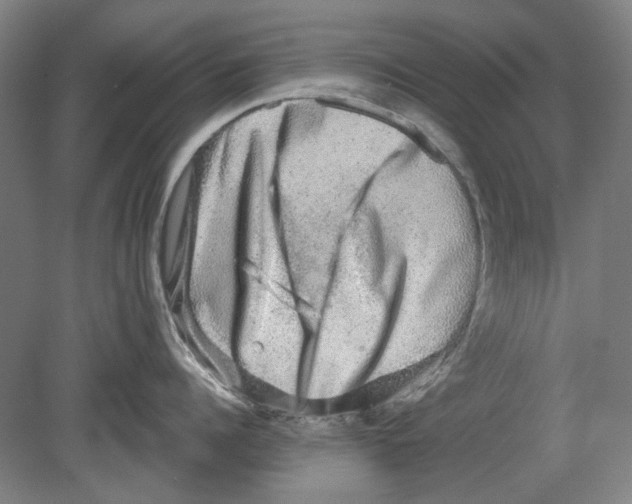 X0000080150960200701051536
