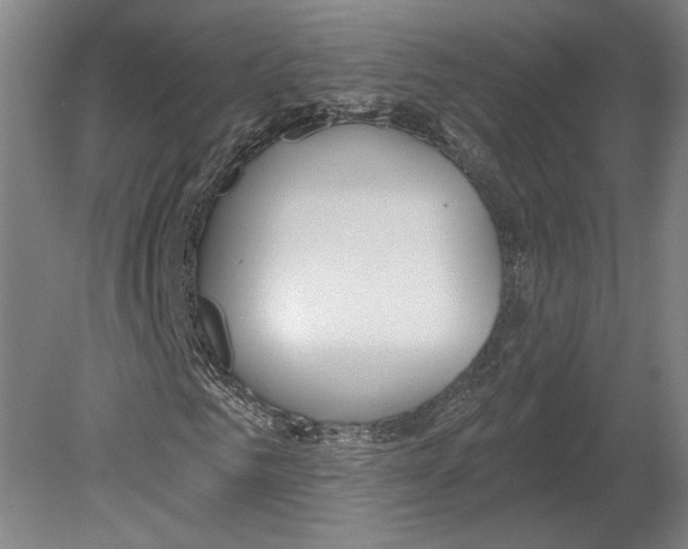 X0000080150961200701051535