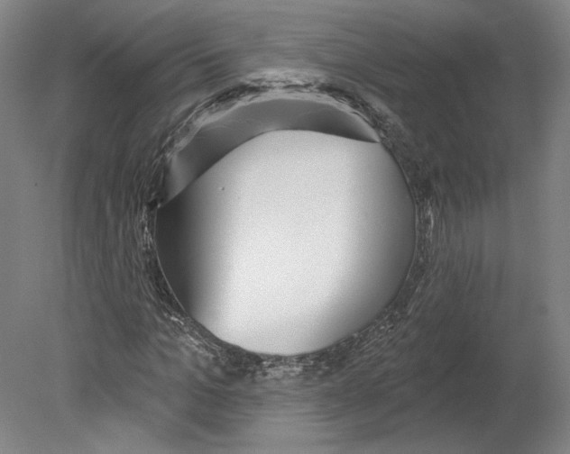 X0000080150965200701051535