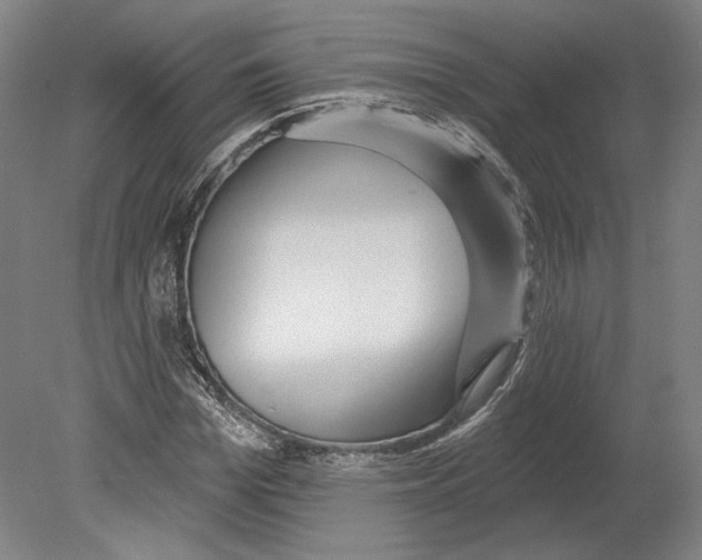 X0000080150969200701051535