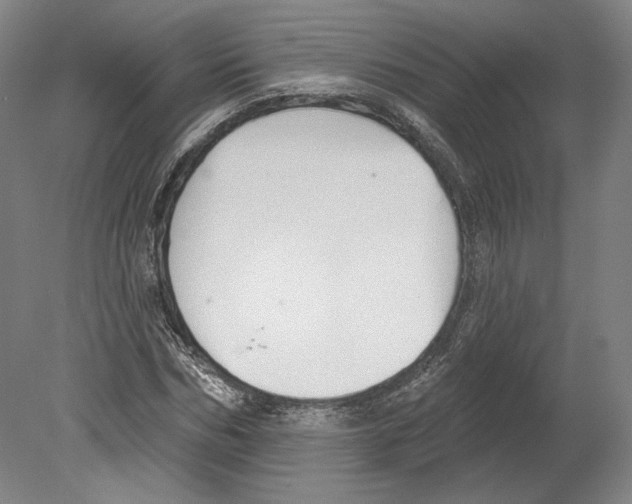 X0000080150970200701051535