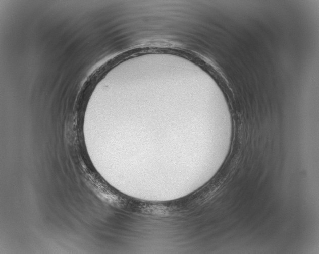 X0000080150971200701051535