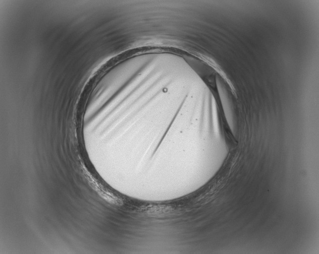 X0000080150972200701051535