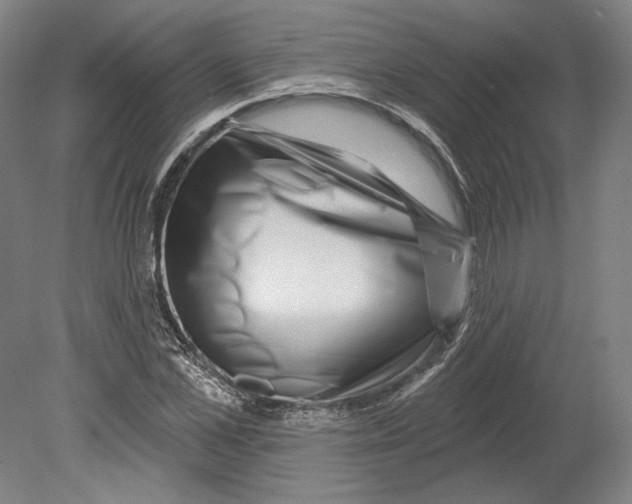 X0000080150973200701051535