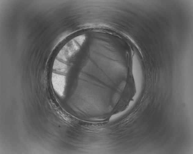 X0000080150975200701051535