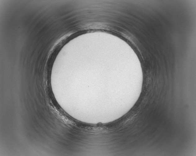 X0000080150979200701051535