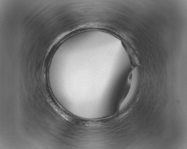 X0000080150981200701051535