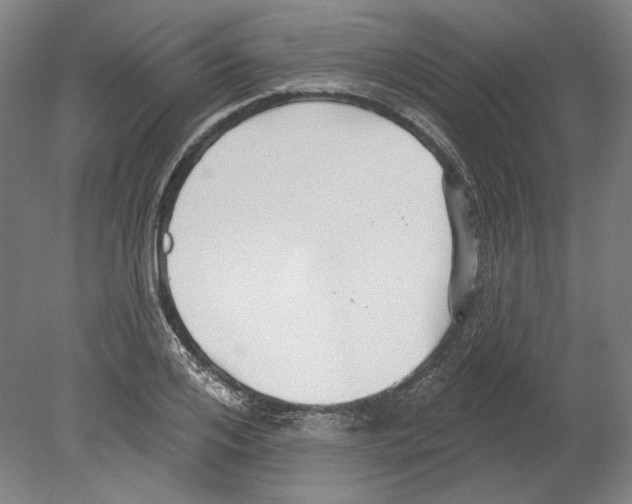 X0000080150984200701051535