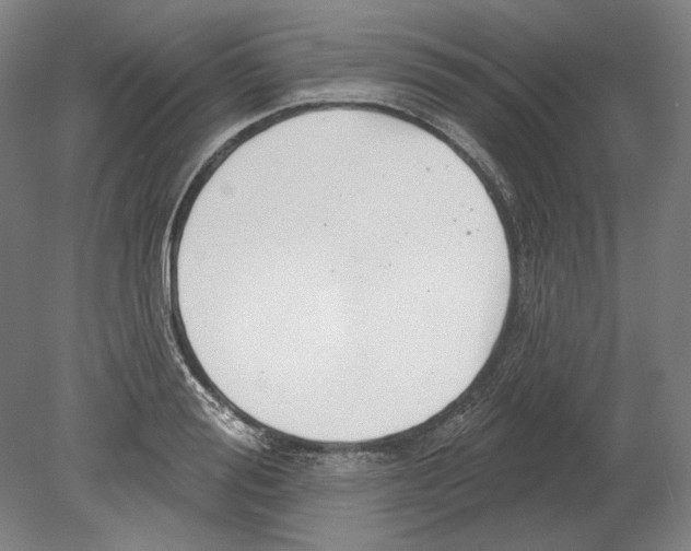 X0000080150988200701051535