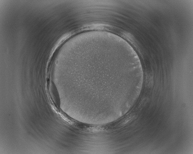 X0000080150994200701051535