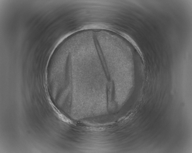 X0000080150996200701051535