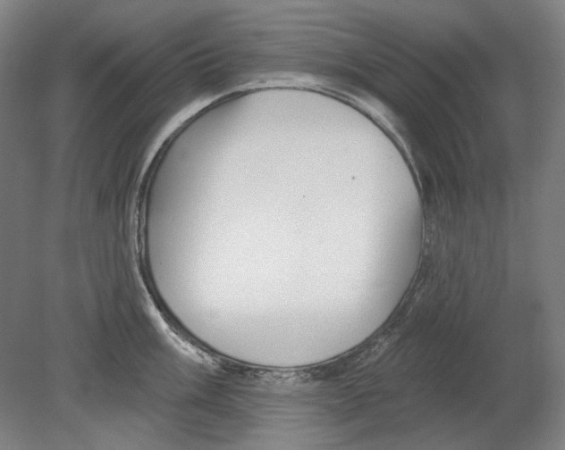 X0000080151003200701051534