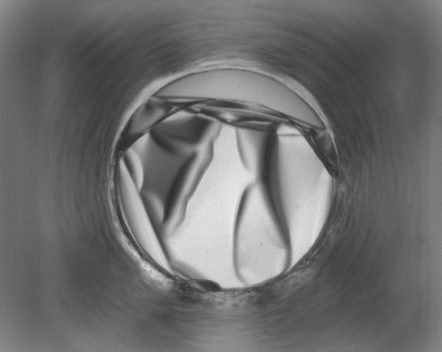 X0000080151005200701051534