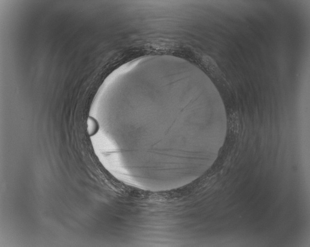 X0000080151009200701051534