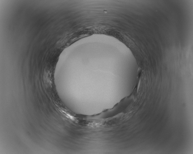 X0000080151010200701051534