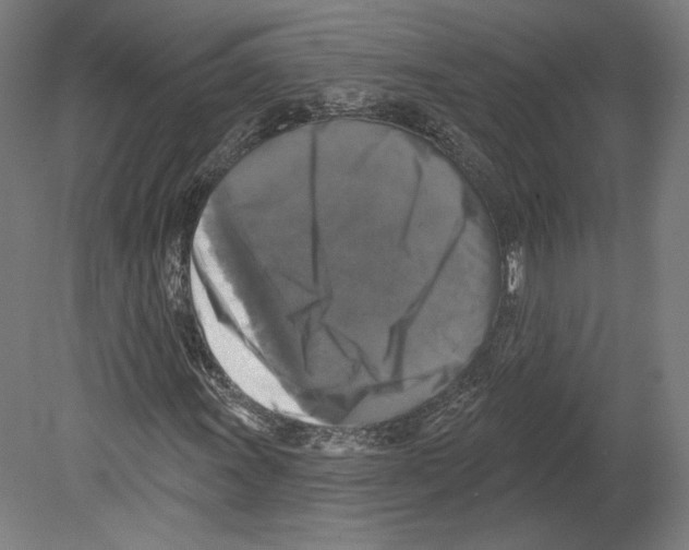 X0000080151011200701051534