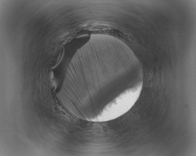 X0000080151013200701051534