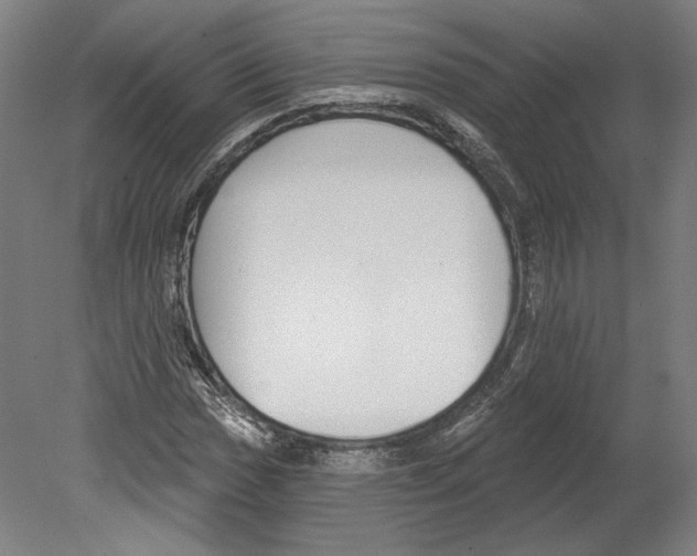 X0000080151017200701051534