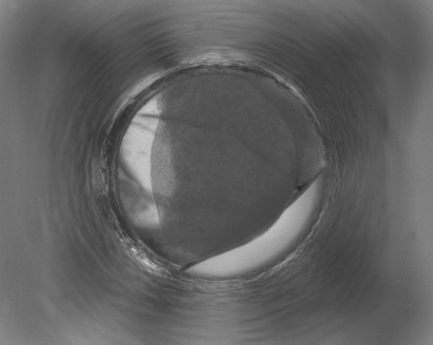 X0000080151018200701051534