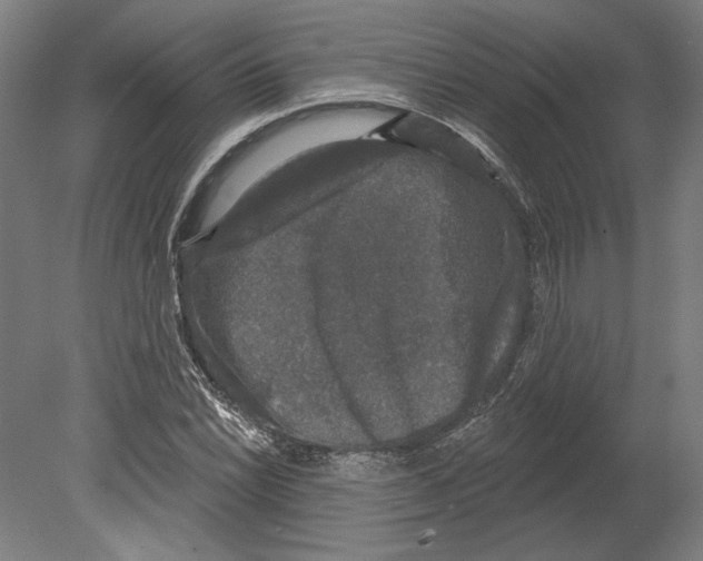 X0000080151022200701051534