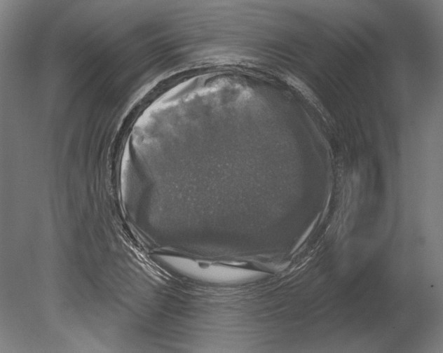 X0000080151023200701051534